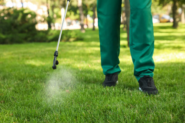 Best Termite Control Services  in Meridian Hills, IN