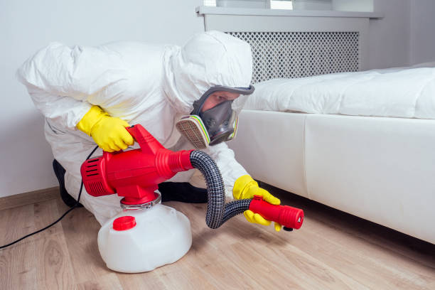 Best Ant Control Services  in Meridian Hills, IN