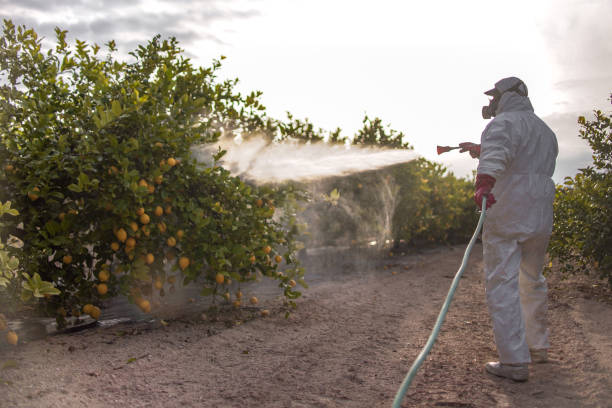 Best Flea Control Services  in Meridian Hills, IN