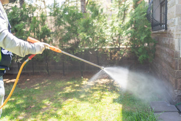 Best Affordable Pest Control Services  in Meridian Hills, IN