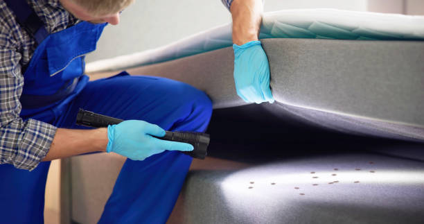 Best Local Pest Control Services  in Meridian Hills, IN