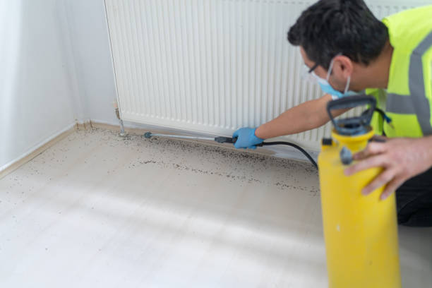 Best Pest Control for Businesses  in Meridian Hills, IN