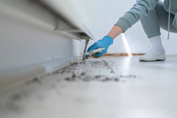 Pest Control for Restaurants in Meridian Hills, IN